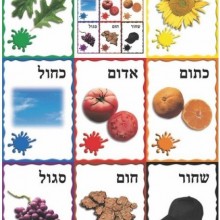 ערכת תמונות צבעים