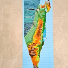 מפת ארץ ישראל מקרטון 93X35 ס"מ