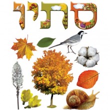 כרזה ללוח סתיו + סמלי העונה