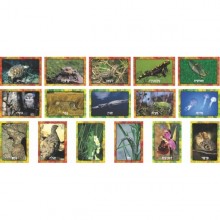 ערכת תמונות תחפושות בטבע