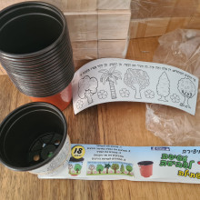 עציצים לשתילה עם עטיפות לצביעה וזרעים