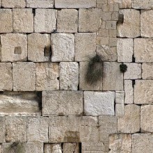 שמשונית כותל
