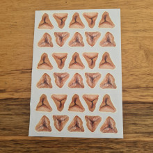 חבילת מדבקות אוזני המן