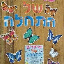 ערכת פרפרים של התחלה