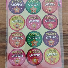 מדבקות דש כוכבת השבוע