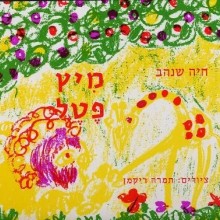 הספר מיץ פטל / חיה שנהב