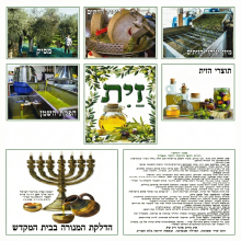 ערכת תמונות הזית