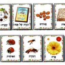 ערכת תמונות פסח ואביב