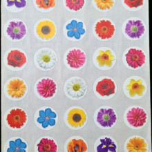 חבילת מדבקות פרחים צבעוניים קטנים