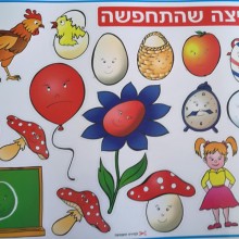 פלקט המחשה הביצה שהתחפשה