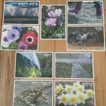 ערכת תמונות טבע בחורף