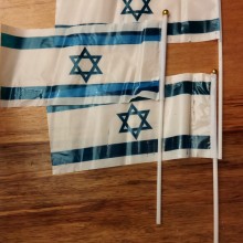 דגל ישראל אישי מניילון