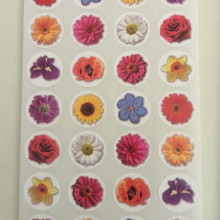דף מדבקות פרחים צבעוניים קטנים