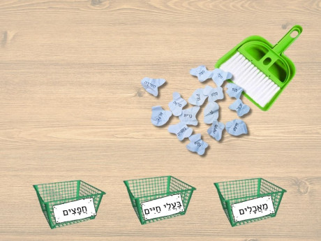 דוגמה למשחק מיון