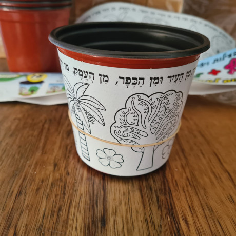 עציץ לשתילה עם עטיפות